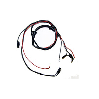 1966 Mustang Door Courtesy Light and Speaker Wire Harness