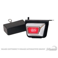 Seat Belt Reminder Light