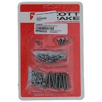 1964 - 1966 Mustang Fastback Interior Trim Screw Kit