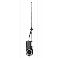 Chrome Power Antenna