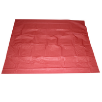 1969-70 Mustang Fastback 2+2 Headliner - Red