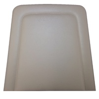 1970-72 Torino/Ranchero GT Back Panels - Ginger
