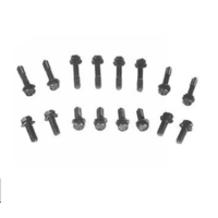 1968 - 1970 Mustang Exhaust Manifold Bolts (289,302)