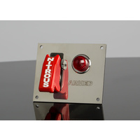 Eleanor Mustang Nitrous Armed Switch Plate with Lamp 1967 1968