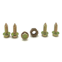 1969 - 1970 Mustang/Cougar BOSS 302/429 9pc Rev Limiter & Shield Hardware