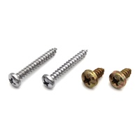 1969 Mustang Dome Lamp Mounting Hardware