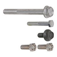 1969 - 1970 Mustang Alternator Mounting Bolts 200 6 Cyl