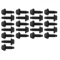 1965 Door Hinge Bolts (22) Does Both Doors Hardware Only