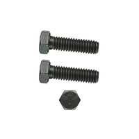 1969 - 1973 Mustang 250/6cyl Water Neck Mounting Bolts Hardware