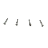 1965 - 1966 Mustang Fastback Molding Above Trap Door Mounting Hardware