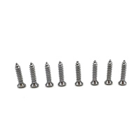 1969 - 1970 Mustang Scuff Plates Mounting Hardware