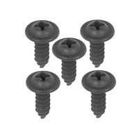 1971 - 1973 Mustang Glove Box Insert Mounting Screw Set
