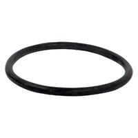 1996 - 2012 Mustang Thermostat O Ring Seal - V8 