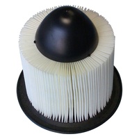1994 - 1995 V8 1994 - 2004 V6 Ford Mustang Air Filter Cleaner Element