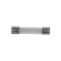 Glass Fuse - 15A