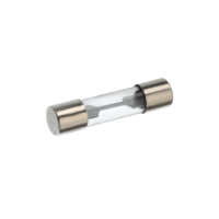 Glass Fuse - 20A