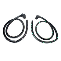 2005-09 Mustang Lower Door Weatherstrips