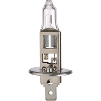 H1 Halogen 12v Bulb - 100w, Single