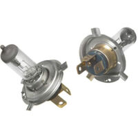 H4 Halogen Bulb 12v