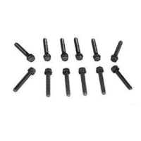 1968 - 1969 Mustang Intake Manifold Bolt Kit (289, 302)