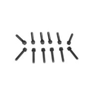1969 - 1970 Mustang Intake Manifold Bolt Kit (Boss 429)