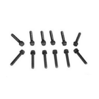 1969 - 1970 Mustang Intake Manifold Bolt Kit (390,428)