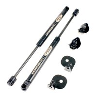 2015 - 2023 Mustang Hood Strut System - Ford Performance - RHD