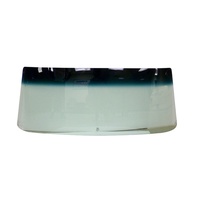 Ford Mustang 1969 - 1970 Coupe Convertible Windshield Shaded
