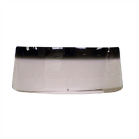 1969-70 Mustang Coupe/Convertible Windshield