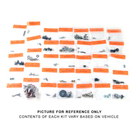 1965 - 1966 Mustang Interior Fastener Kit (Fastback, Deluxe Int)