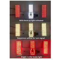 1967 - 1968 Mustang LED Taillight, Backup & Amber Indicator Kit - Silver Lens