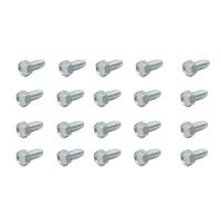 20pc Grille & Pillar To Fender Screw Kit for Holden 48 FJ