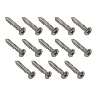 Ford XR XT XW XY XA XB XC 14 Piece Stainless Steel Scuff Plate Screw Kit