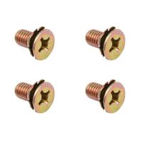 Door Lock Screw Kit Commodore VB VC VH VK VL (2 Doors)