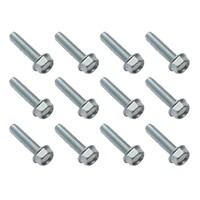 Ford Falcon XA XB/Fairlane ZF ZG Imperial Door Hinge Bolt Kit (12 Piece)
