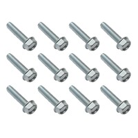 Ford Falcon XA XB/Fairlane ZF ZG Imperial Door Hinge Bolt Kit (12 Piece)