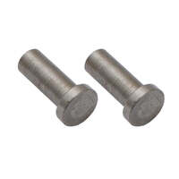 2pc Door Check Strap Pin Kit for Holden Torana LC LJ