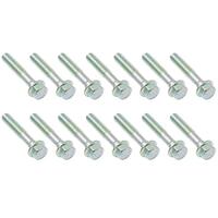 Inlet Manifold Bolt Kit for Holden Commodore VN VP VR VS VT 304 EFI V8