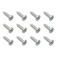 Universal Screw Kit (Pan HD 10g - 16 X 5/8 Zp Tap) for Holden Vehicles