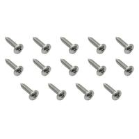 Universal Screw (Pac Pan HD 10g - 16 X 3/4 Zinc) for Holden Vehicles