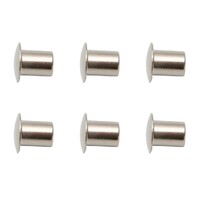 Window Regulator Rivet (6 Pieces)