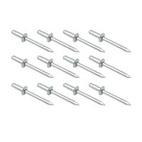 Window Regulator To Door Rivets for Holden VB VC VH VK VL VN VP VR Commodore Universal