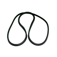 Rear Screen Seal for 1973-79 Ford F100 F250 F350