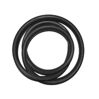 Rear Screen Seal for Ford Cortina TC TD TE TF Station Wagon