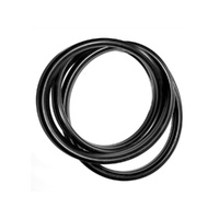 Rear Screen Seal for 1952-55 Zephyr Zodiac Consul MK2