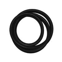 Rear Screen Seal for 1971-85 Nissan Datsun 1200 Ute