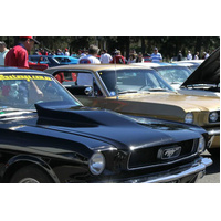 1964 - 1966 Mustang Fiberglass Hood (with Custom Mustangs Reverse Cowl Scoop)