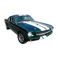 1964 - 1968 Mustang Lemans Stripe Kit - White