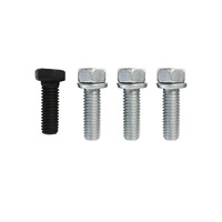 1967 - 1970 Mustang Water Pump Bolts (390, 428)