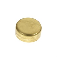 Welsh Plug Ford V8 289 302 351 Windsor - Single